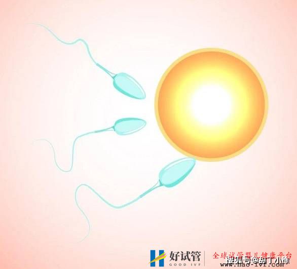 越年輕做試管嬰兒成功率就越高嗎？(圖1)