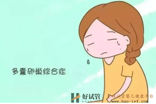 多囊卵巢綜合癥能自愈？可以控制，做試管成功率高嗎(圖1)