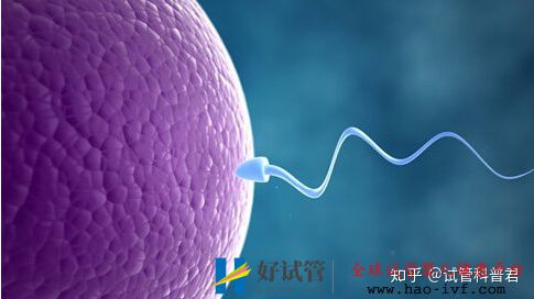 這四種男女,要盡早做試管嬰兒,不然晚了后悔死(圖9)