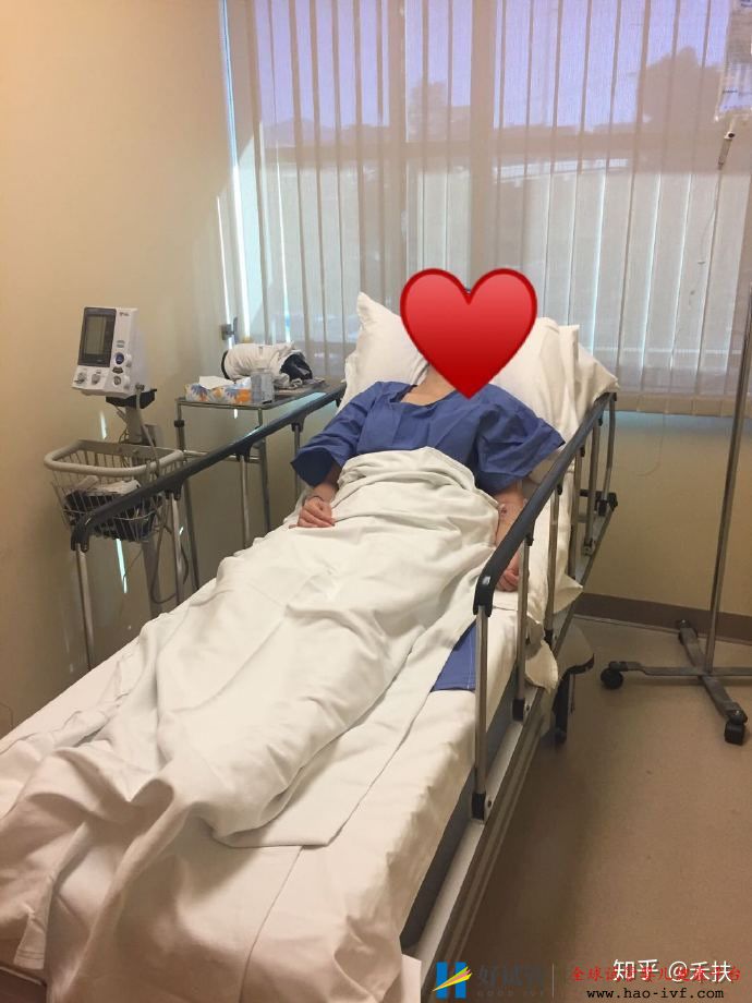 我的試管經歷29歲卵巢早衰的逆襲之路(圖3) 我的試管經歷29歲卵巢早衰的逆襲之路(圖3)