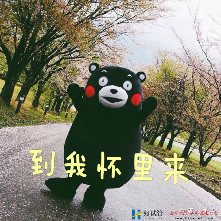 我的試管經歷29歲卵巢早衰的逆襲之路(圖9) 我的試管經歷29歲卵巢早衰的逆襲之路(圖9)