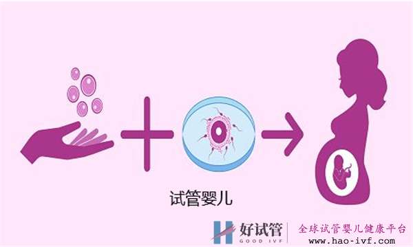 試管嬰兒的成功率會受到哪些因素的影響呢(圖1)