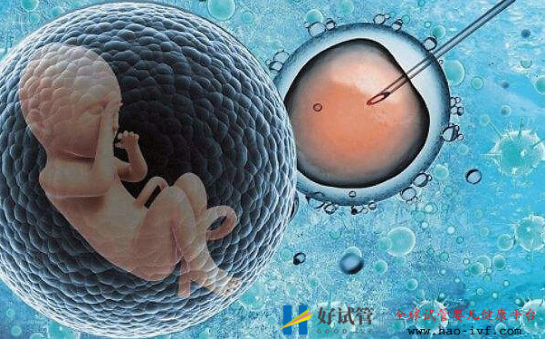 203040歲的女性做試管，成功率有多少？(圖1)