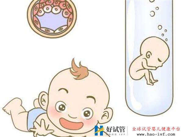 提高試管嬰兒成功率有哪些有效的方法(圖1) 提高試管嬰兒成功率有哪些有效的方法(圖1)
