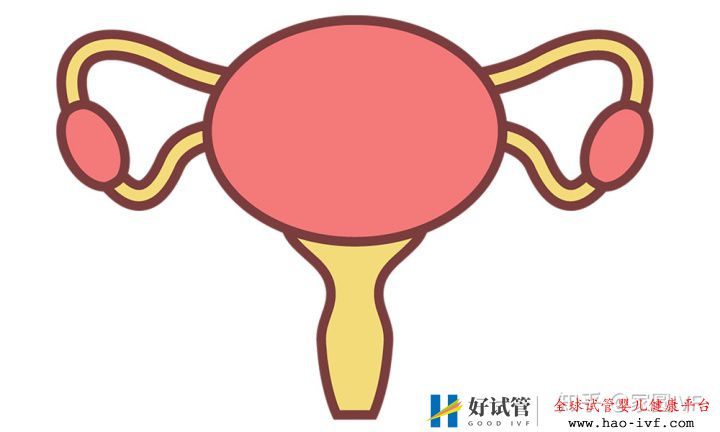 女性46歲做試管嬰兒成功的把握有多少(圖3)