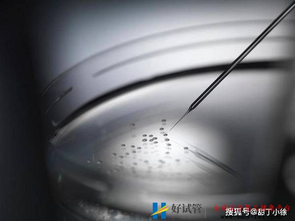 直觀分析試管嬰兒成功率高嗎(圖1)
