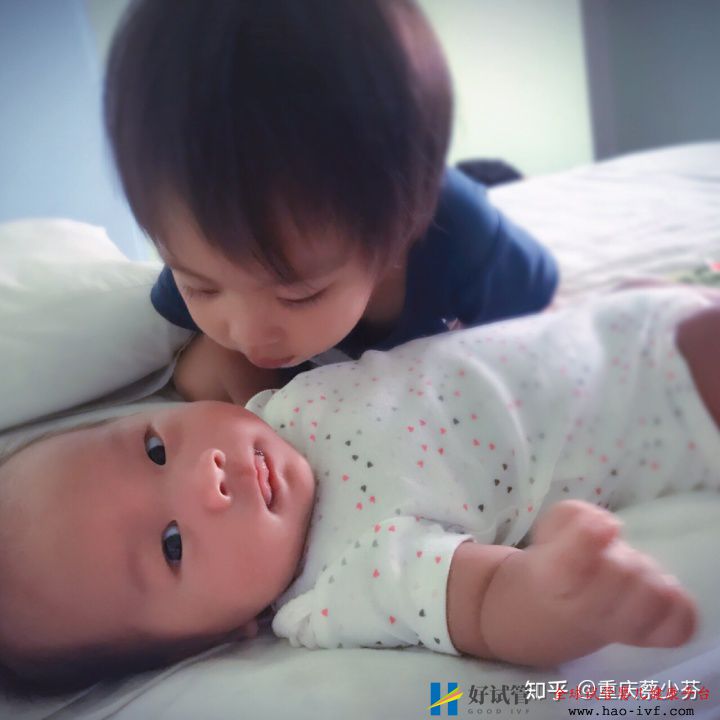 兩年抱倆,46歲新手媽媽的試管嬰兒全攻略(圖1)
