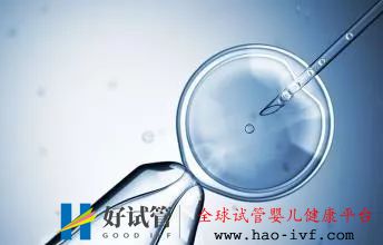 試管嬰兒的成功率是多少？怎么樣做可以提高成功率？(圖2)