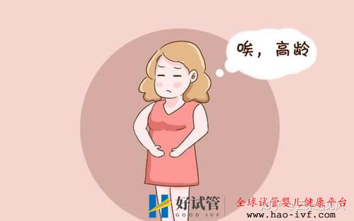 48歲高齡做第三代試管嬰兒成功率是多少(圖1)