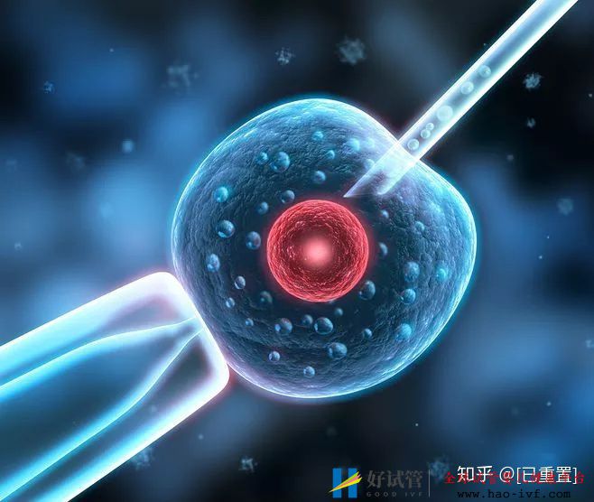 我不建議48歲的你去做試管,除非…(圖5)