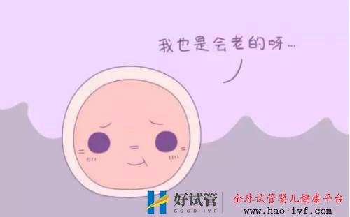 卵子比較少，做試管成功率怎么樣呢(圖2)