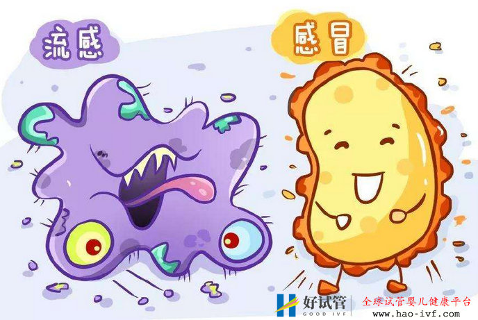 冬季做試管，教你提高成功率(圖1)