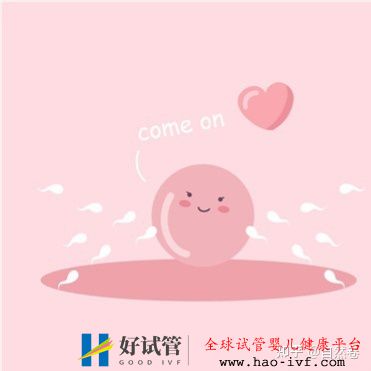 試管一代,二代,三代有什么區別(圖3)