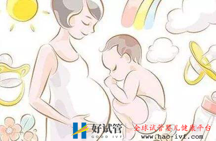 試管嬰兒囊胚移植成功率有多高(圖2)