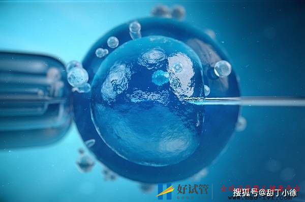 哪些情況下不能做第三代試管嬰兒手術(圖1)