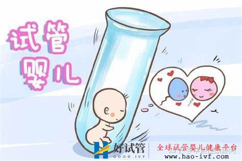 試管嬰兒一代成功率高還是二代一代二代三代的區(qū)別...(圖1)