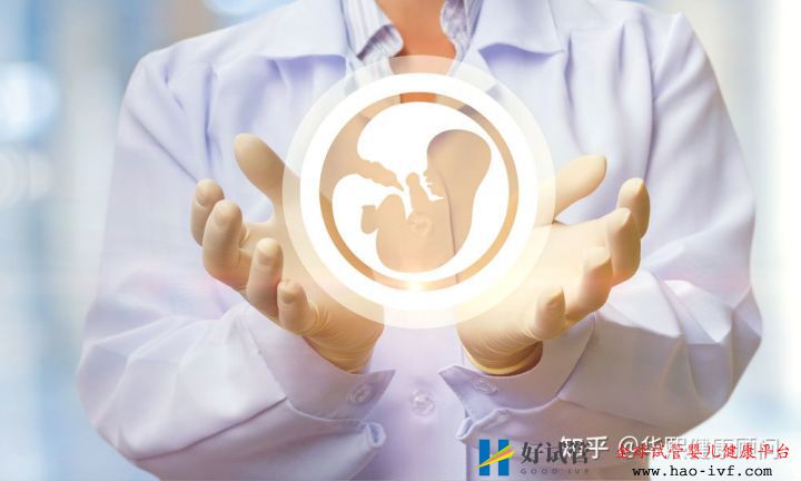 試管嬰兒一代成功率高還是二代一代二代三代的區(qū)別...(圖4)