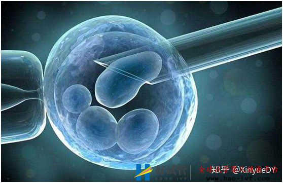 詳解第一代、第二代、第三代試管嬰兒以及適應(yīng)癥,...(圖5)