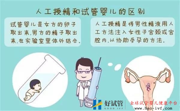 試管嬰兒和人工授精有什么區(qū)別哪一個成功率更高(圖1)