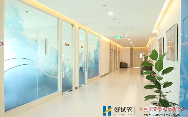 一起來看下試管嬰兒的花費明細表(圖3)