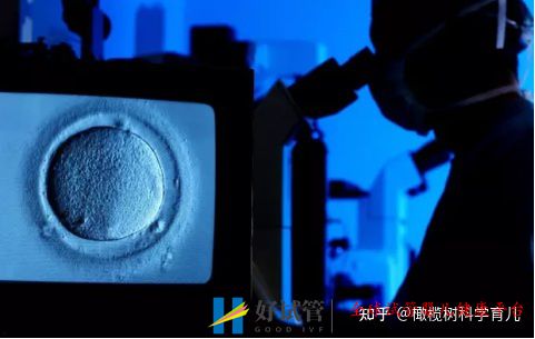 2021做試管嬰兒要多少費用,最新價格表(圖3)