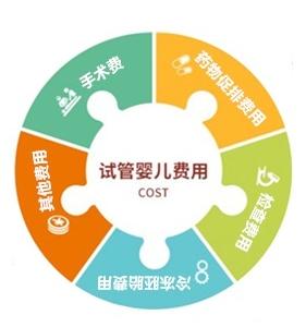 做一次完整的試管嬰兒周期大概需要多少錢？(圖1)
