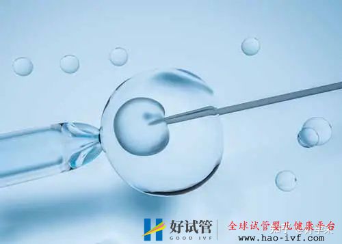 一次試管百萬(wàn)別逗了,這才是做試管的正常價(jià)格(圖5)