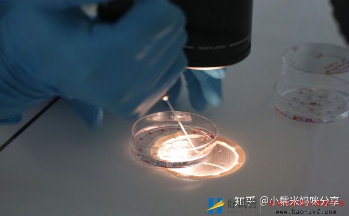 多囊姐妹做三代試管技術(shù)有多高成功率(圖1)