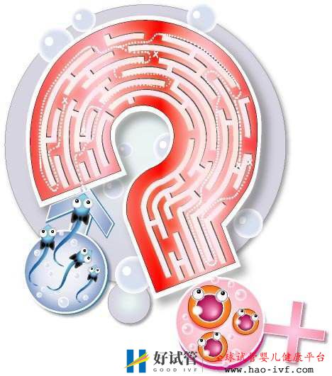 做試管嬰兒需要多少天？(圖1)