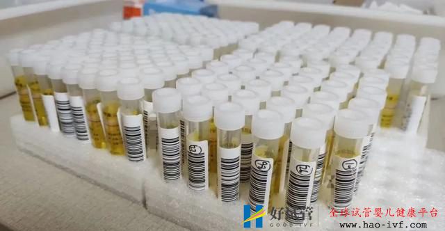 鄭州哪些醫院可做核酸檢測？需要多少錢？你關心的，這兒都有答案(圖1)