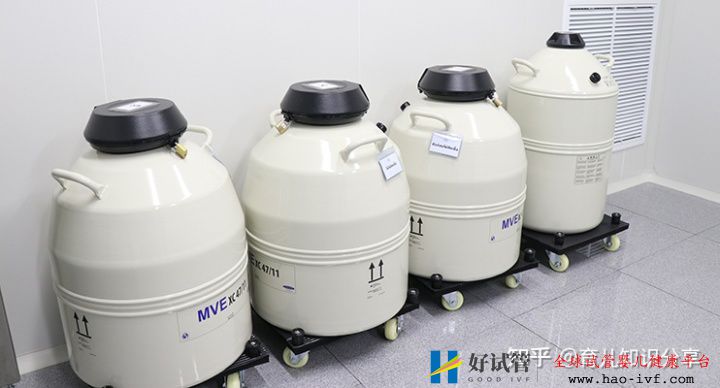 人工受孕龍鳳寶寶要多少錢(圖1)