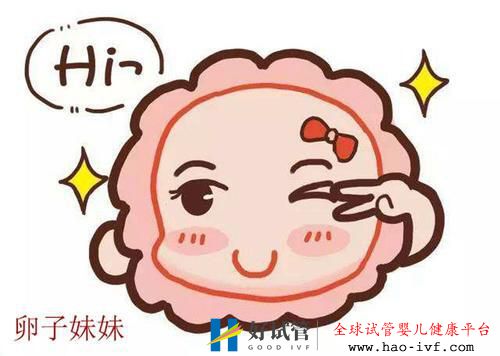 做試管嬰兒要取多少卵子？(圖2)