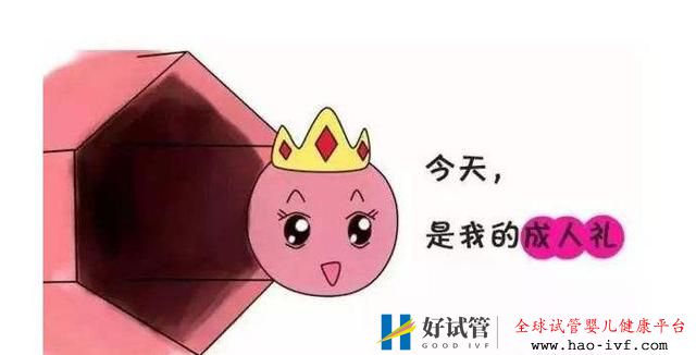 試管嬰兒治療中，卵泡要發育到多大才有用？(圖1)