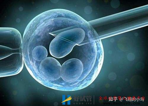 第三代試管龍鳳胎需要多少錢(圖2) 第三代試管龍鳳胎需要多少錢(圖2)