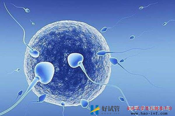 第三代試管龍鳳胎需要多少錢(圖3) 第三代試管龍鳳胎需要多少錢(圖3)
