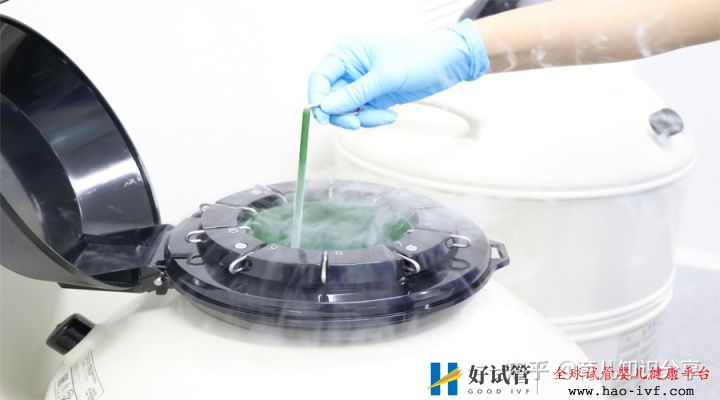試管生一對龍鳳寶寶大概要多少錢(圖1) 試管生一對龍鳳寶寶大概要多少錢(圖1)