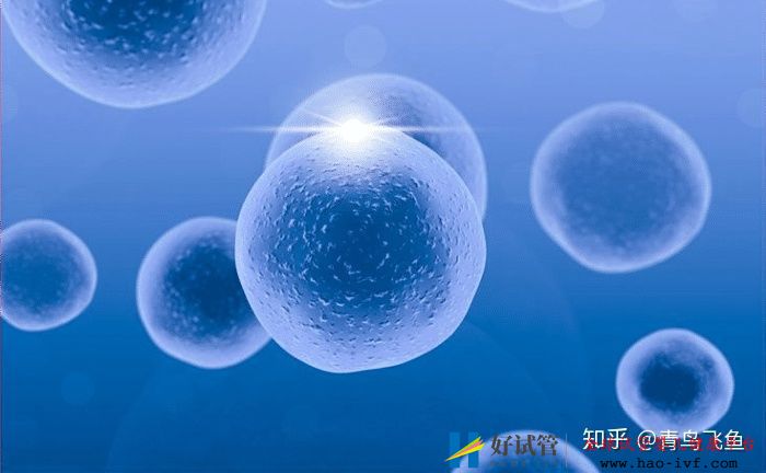 試管嬰兒龍鳳胎費用(圖2)