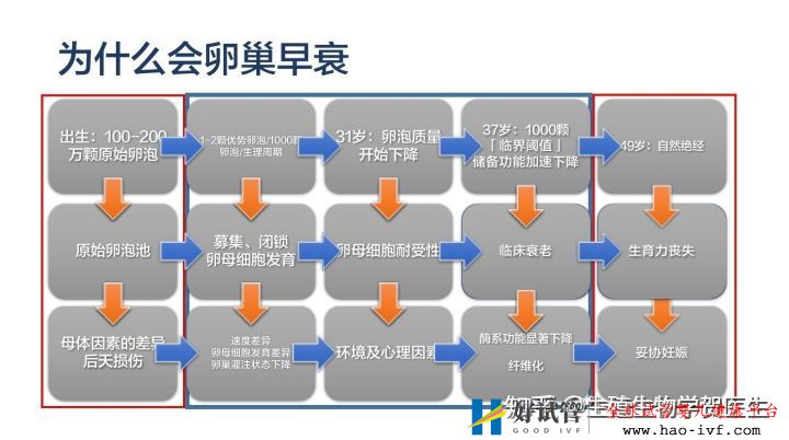 卵巢早衰選擇三代試管成功率怎么算(圖18)