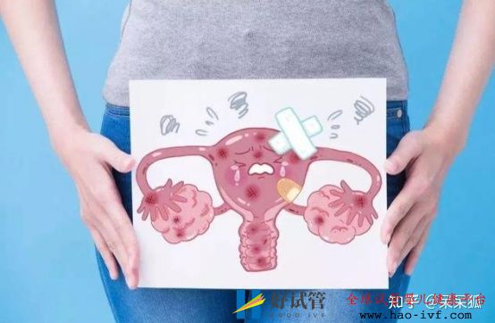卵巢早衰做試管成功率高不高(圖1)