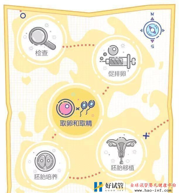 “我做試管嬰兒的成功率有多少”先測(cè)一測(cè)!(圖1)