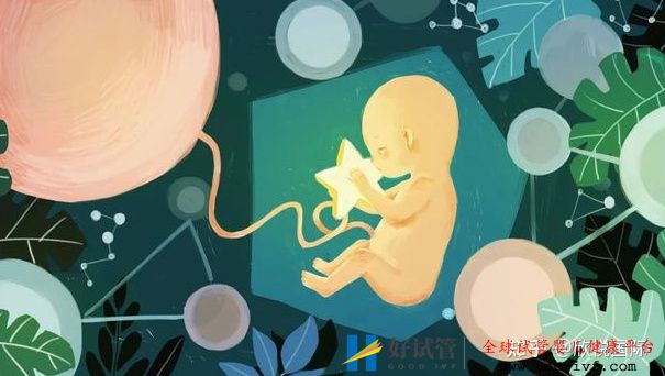 做試管嬰兒能100%取得成功嗎(圖3)