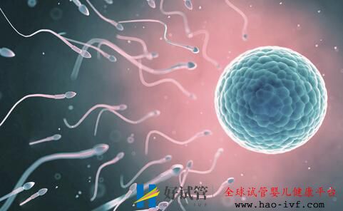 人工授精成功率(圖5)