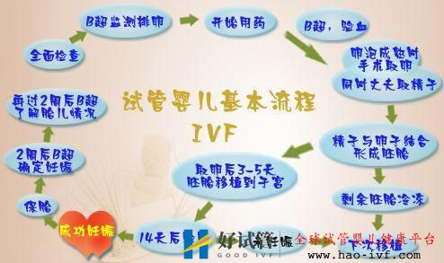 人工授精成功率(圖9)