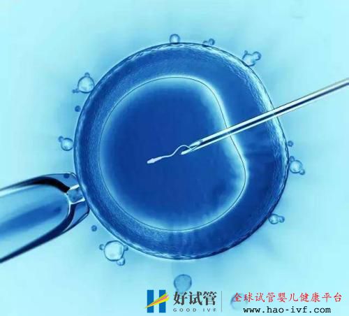 人工授精成功率(圖7)