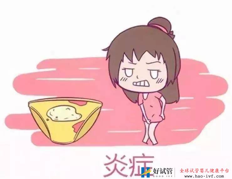 十女九“炎”，但如果影響試管成功率怎么辦？(圖1)
