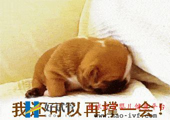 試管三代的費用是多少(圖2)