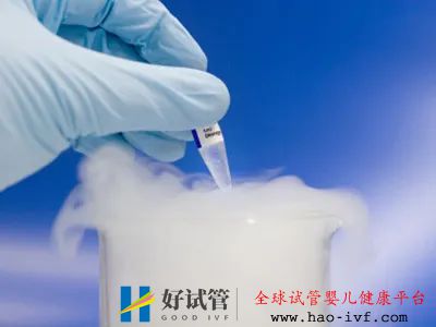 泰國試管嬰兒三代試管技術(shù)的費用明細和技術(shù)區(qū)別都有哪些？(圖1)