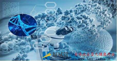 卵巢早衰的我終于試管成功懷孕了!!!!(圖6) 卵巢早衰的我終于試管成功懷孕了!!!!(圖6)