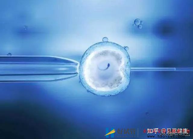 男性弱精癥做試管嬰兒成功率高嗎答案是因人而異(圖2) 男性弱精癥做試管嬰兒成功率高嗎答案是因人而異(圖2)