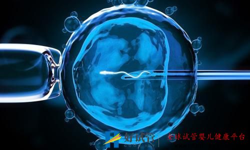 男性需要關(guān)注的做試管取精流程(圖2)
